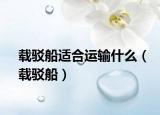 載駁船適合運(yùn)輸什么（載駁船）
