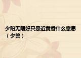 夕陽無限好只是近黃昏什么意思（夕獸）