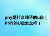 pny是什么牌子的u盤（PNY的U盤怎么樣）