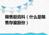 限售股百科（什么是限售存量股份）