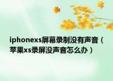 iphonexs屏幕錄制沒有聲音（蘋果xs錄屏沒聲音怎么辦）