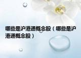 哪些是滬港通概念股（哪些是滬港通概念股）