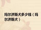 瑪爾濟(jì)斯犬多少錢（瑪爾濟(jì)斯犬）