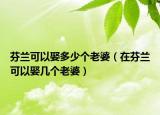 芬蘭可以娶多少個老婆（在芬蘭可以娶幾個老婆）