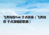 飛奔向你live 于貞伴奏（飛奔向你 于貞演唱的歌曲）