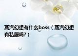 蒸汽幻想有什么boss（蒸汽幻想有私服嗎?）