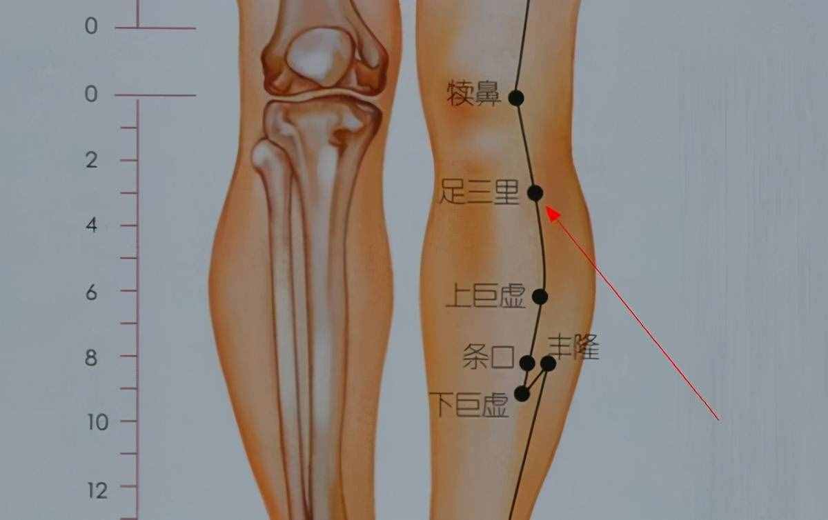足三里，如何理上、理中、理下？