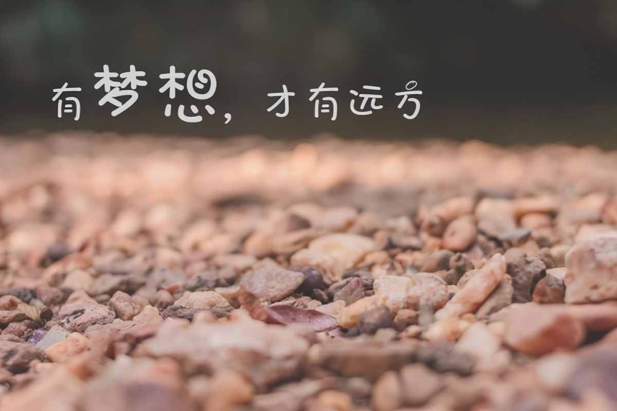 努力學(xué)習(xí)的名言 勤奮好學(xué)的經(jīng)典語錄