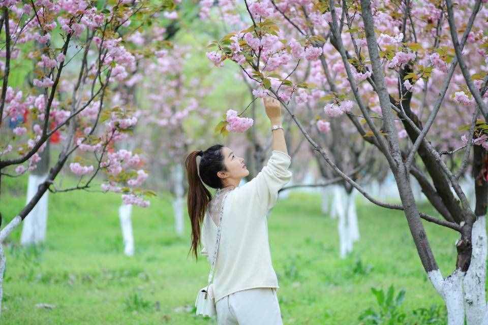 芳菲四月的秦嶺野生動(dòng)物園，美景中的樂趣堪比我想要的“后花園”