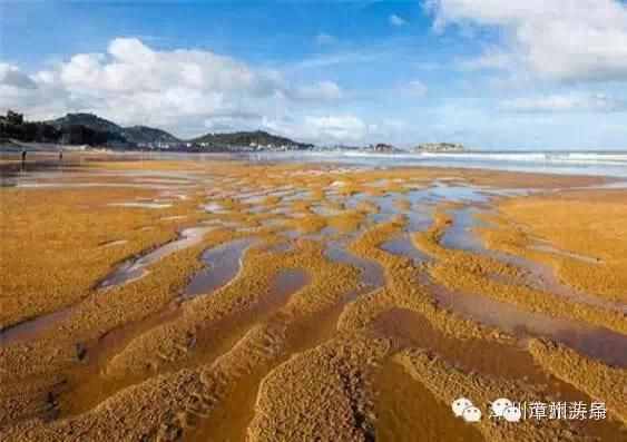 自駕游攻略：漳州絕美海灘——七星海