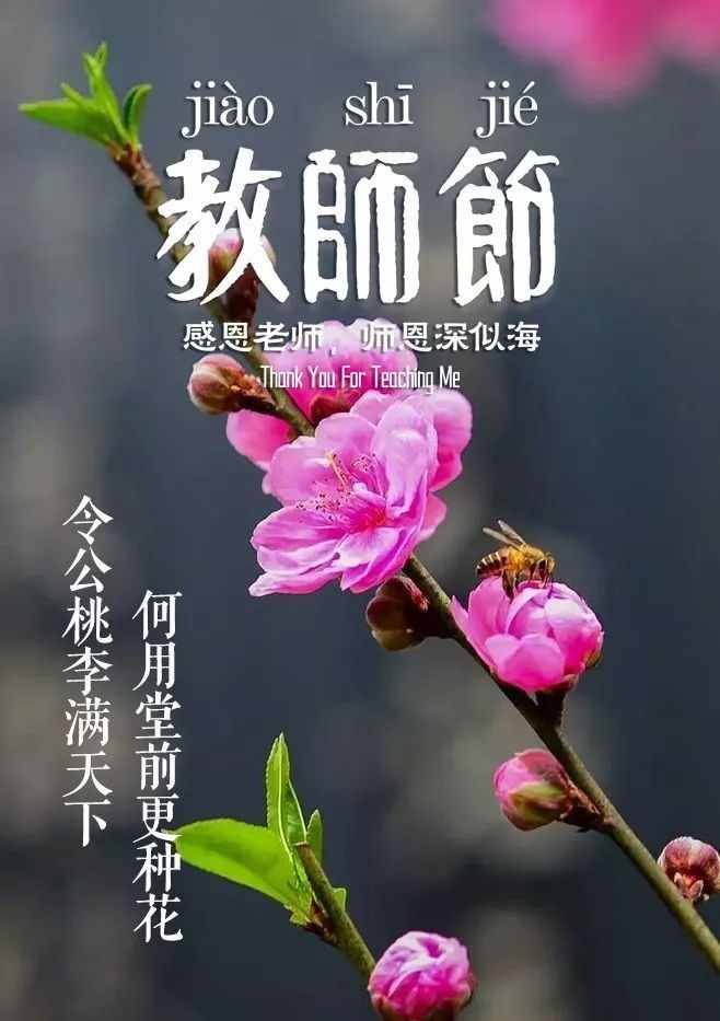 「詩詞鑒賞」教師節(jié)，那些贊美老師的詩句