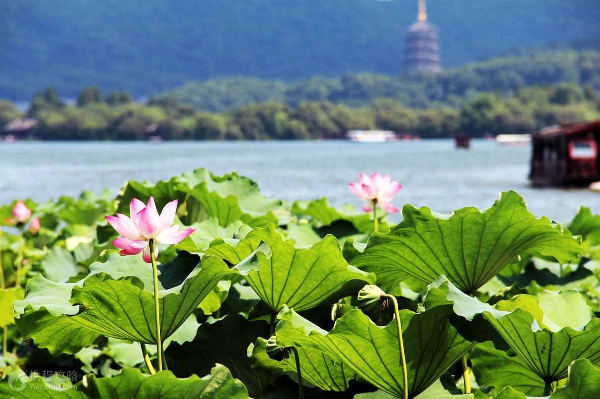 西湖不止杭州有：中國有36個(gè)西湖，日本越南也有西湖