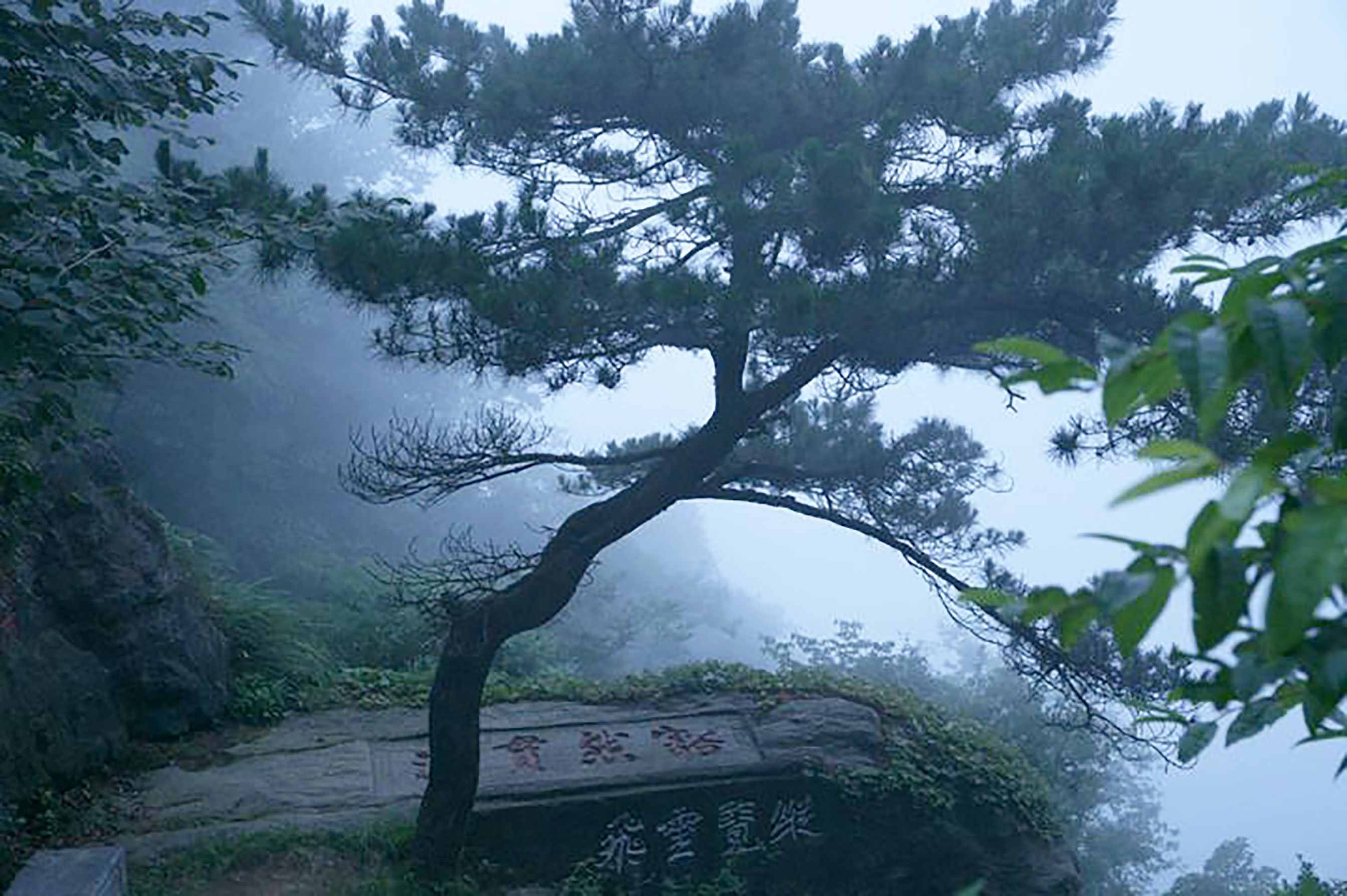 江西廬山，不僅奇秀甲天下，更是一座文化名山