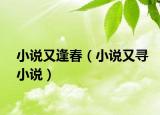 小說又逢春（小說又尋小說）