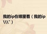 我的ip在哪里看（我的ip\