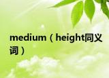 medium（height同義詞）