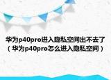 華為p40pro進(jìn)入隱私空間出不去了（華為p40pro怎么進(jìn)入隱私空間）