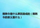 限韓令是什么原因造成的（限韓令的意義是什么）