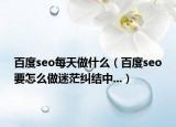 百度seo每天做什么（百度seo要怎么做迷茫糾結(jié)中...）
