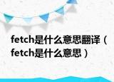 fetch是什么意思翻譯（fetch是什么意思）