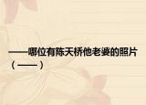 ——哪位有陳天橋他老婆的照片（——）