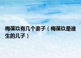 梅葆玖有幾個(gè)妻子（梅葆玖是誰生的兒子）