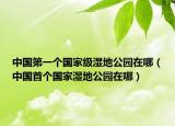 中國第一個國家級濕地公園在哪（中國首個國家濕地公園在哪）