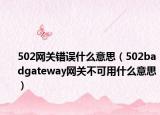 502網關錯誤什么意思（502badgateway網關不可用什么意思）