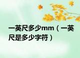 一英尺多少mm（一英尺是多少字符）