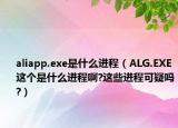 aliapp.exe是什么進程（ALG.EXE這個是什么進程啊?這些進程可疑嗎?）