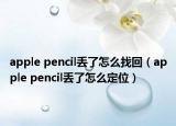 apple pencil丟了怎么找回（apple pencil丟了怎么定位）