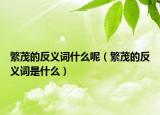繁茂的反義詞什么呢（繁茂的反義詞是什么）