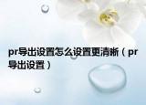 pr導(dǎo)出設(shè)置怎么設(shè)置更清晰（pr導(dǎo)出設(shè)置）