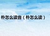 樸怎么讀音（樸怎么讀）