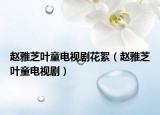 趙雅芝葉童電視劇花絮（趙雅芝葉童電視劇）