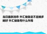 當(dāng)日最新消息 外匯儲(chǔ)備是不是越多越好 外匯儲(chǔ)備有什么作用