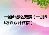 一加6t怎么雙清（一加6t怎么雙開微信）