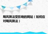 颶風(fēng)算法受影響的網(wǎng)站（如何應(yīng)對颶風(fēng)算法）