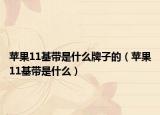蘋果11基帶是什么牌子的（蘋果11基帶是什么）