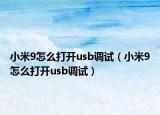 小米9怎么打開usb調(diào)試（小米9怎么打開usb調(diào)試）