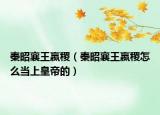 秦昭襄王嬴稷（秦昭襄王嬴稷怎么當(dāng)上皇帝的）