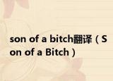 son of a bitch翻譯（Son of a Bitch）