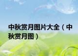 中秋賞月圖片大全（中秋賞月圖）