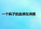 一個瘋子的血液在沸騰