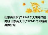 山東兩天下了12141個大明湖詳細(xì)內(nèi)容 山東兩天下了12141個大明湖具體介紹