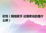 初雪（網(wǎng)絡(luò)歌手 這首歌說(shuō)的是什么?。? /></span></a>
                        <h2><a href=