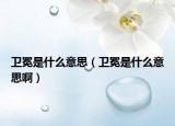 衛(wèi)冕是什么意思（衛(wèi)冕是什么意思啊）