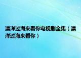 漂洋過海來看你電視劇全集（漂洋過海來看你）