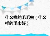 什么樣的毛毛蟲（什么樣的毛巾好）