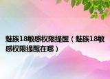 魅族18敏感權限提醒（魅族18敏感權限提醒在哪）